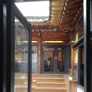 나무사이로 이미지