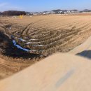 석정초교 이미지