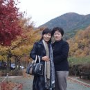 수박골 이미지