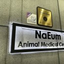 청주24시동물병원 이미지