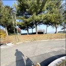 단비 랑
