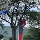 신진미헤어테라피 이미지