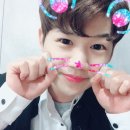 커트보이남성컷