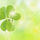 오늘은좋은날 이미지