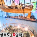 영덕동해곤충
