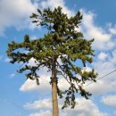 모례마을회관 이미지