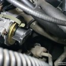 SOS 카마스타 이미지