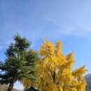 신당리 마을회관 이미지