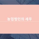 세무법인다승 이미지