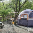 그루터기 캠핑장 이미지