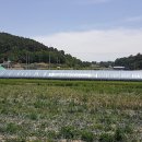 문경참미나리 미돈가 이미지