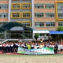 왕선초등학교 이미지