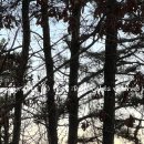 프롬디(FROM:D) 이미지