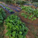 조남농장 이미지