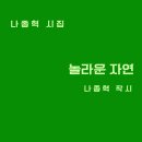[놀라운 자연-나종혁 시집] 전자책 도서 보도 자료 이미지