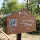 천변2호 이미지