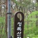 청록장 이미지