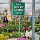 초록화원 | 인천 계양 월드플라워 농원 500평 대형 신상 화원 오픈 할인 후기