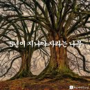 자라는나무 이미지