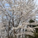 구리현대자동차공업사 | 용마산 등산 후기/용마산 맛집 아천냉면/ 구리에서 용마산 가는법 🌸