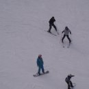 양지파인리조트 이미지