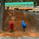 돌멩이 펜션 이미지