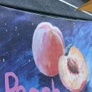 조치원청사 | 조치원 채아달농원 / 조치원 길거리 복숭아 내돈내산 후기