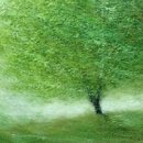 자연의소리 이미지