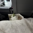 그랑포레 | W-11. 안동 그랜드호텔 그랑포레홀 본식 후기 👰🏻‍♀️🤵🏻