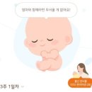 노블클라쎄산부인과 이미지