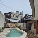 미미애견 | [전북/전주]애견동반 한옥독채펜션 미미몽몽 방문후기