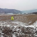 동남농장4 이미지