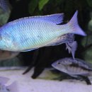 임프레스 이미지