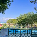 사랑을줄개 이미지