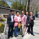 코스모스악기 이미지