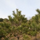 삼강식물원 이미지
