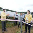 드림 태양광발전소 이미지