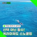 오키나와 남부 스노쿨링부터 체험다이빙까지 케라마제도 홍스타투어 추천 후기