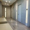 울산 강일웅동물메디컬센터 네이버블로그