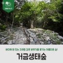 낭만이 있는 10월에 마지막 밤, 여수 야경불꽃크루즈, 고흥금산 거금도생태숲 이미지