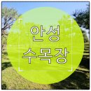 영동식당 휴게실 | 자연으로 돌아가는 안성 수목장 개인형 부부형 분양 정보