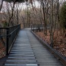 향기가득길 이미지