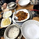 월랑쭈꾸미아산