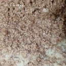 농사지어 담은 김장배추김치 이미지