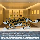 미래의류매장 | [휴먼메이드 압구정] 매장 방문 후기ㅣ압구정 익스클루시브, 방탄 제이홉 콜라보 실물 사진