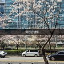 직업소개소 창업조건 고졸도 쉽게 준비했어요