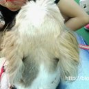 가파민박