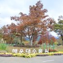 푸른도시가꾸기사업소 화장실 이미지