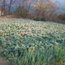 달욱농장 이미지