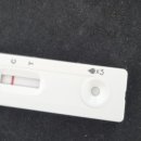 마로니에이비인후과의원 이미지